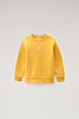 Woolrich - Logo Sheep Sweater - buddagold Yellow