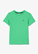 Lacoste - Basic T-shirt - Groen