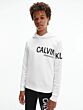 Calvin Klein - Inst Hero Logo hoodie - white