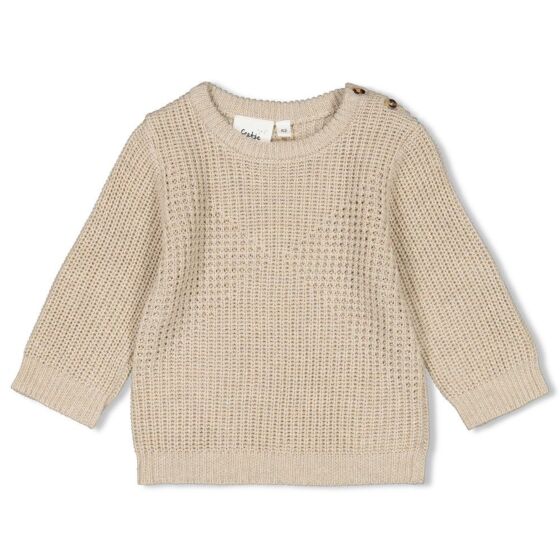 Feetje - Gebreide Sweater Camp Wilderness - Beige