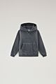 Woolrich - American Hoodie - grey