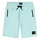Rellix - Jogging Short - Fresh Mint